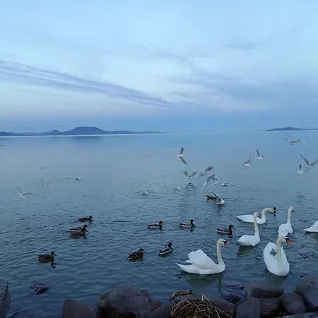 Lokomotív Apartamento *